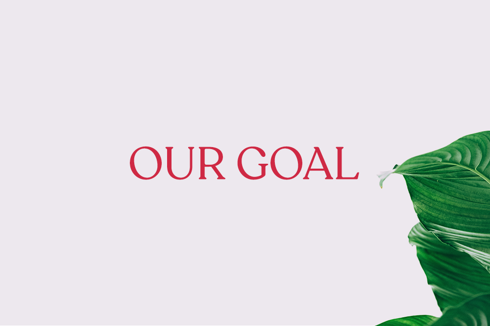 About us Raw African's Beauty Hub Get the Raw Experience!